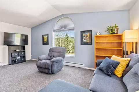654 Alpine Rd, Dillon, CO 80435 photo 9