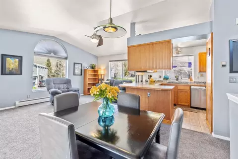 654 Alpine Rd, Dillon, CO 80435 photo 16