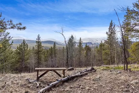 tbd Ponderosa Rd, Alma, CO 80420