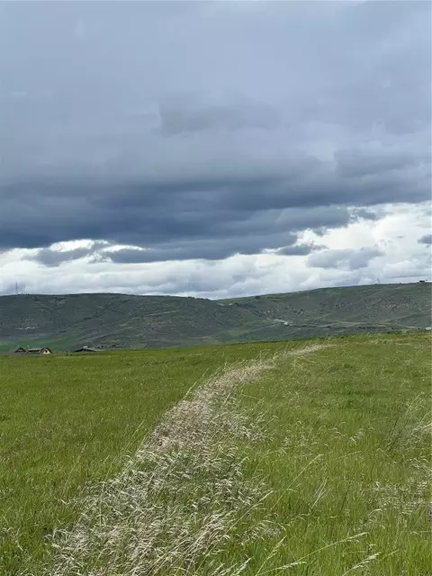 38350 Cattails Ct, Hayden, CO 81639