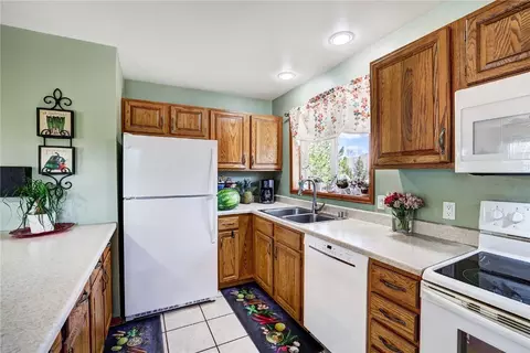 355 Rainbow Ct, Silverthorne, CO 80498 photo 3