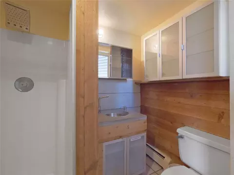 204 Tenderfoot St, Dillon, CO 80435 photo 26