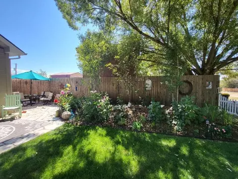 38790 Main St, Steamboat Springs, CO 80487 photo 5