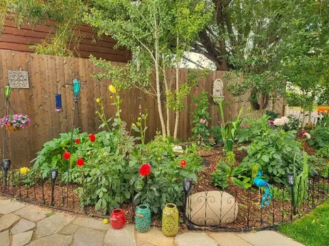 38790 Main St, Steamboat Springs, CO 80487 photo 6
