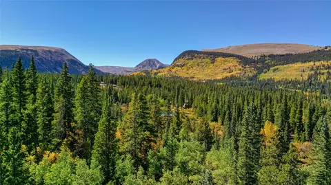 121 Golden Hills Rd, Fairplay, CO 80440