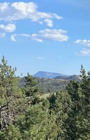 000 Hiawatha Cir, Hartsel, CO 80449