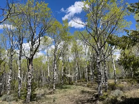 626 688 Ridge Dr, Kremmling, CO 80459
