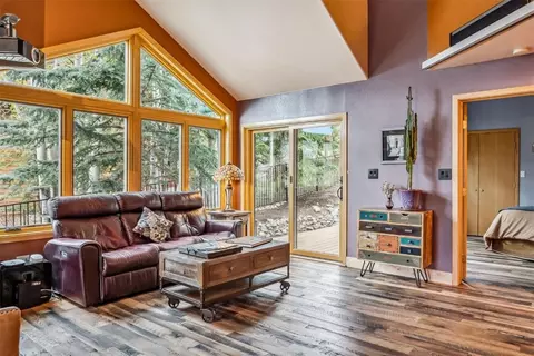 341 Black Hawk Cir, Silverthorne, CO 80498 photo 10