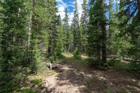 376 Robertson Ln, Breckenridge, CO 80424