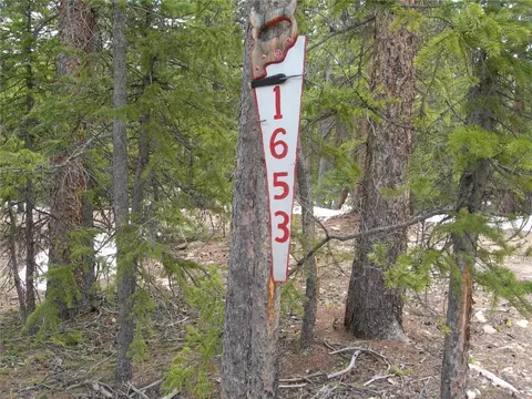 1653 Cr-14a, Fairplay, CO 80440