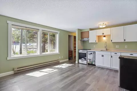 344 Illinois Gulch Rd #101, Breckenridge, CO 80424