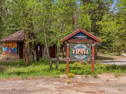 1260 Mesa Dr, Silverthorne, CO 80498 photo 41