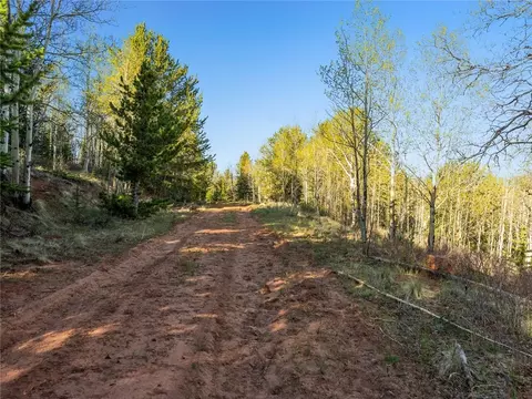25335 Us Hwy 285, Fairplay, CO 80440 photo 23