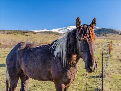 25335 Us Hwy 285, Fairplay, CO 80440 photo 20
