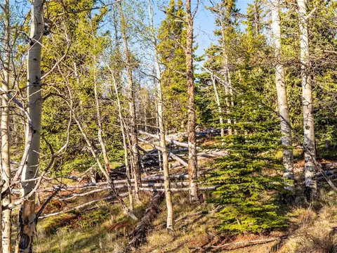 25335 Us Hwy 285, Fairplay, CO 80440 photo 17