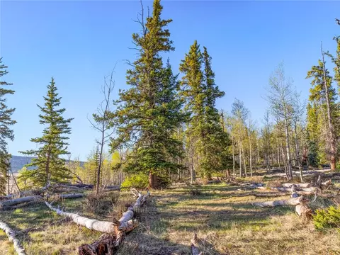 25335 Us Hwy 285, Fairplay, CO 80440 photo 18