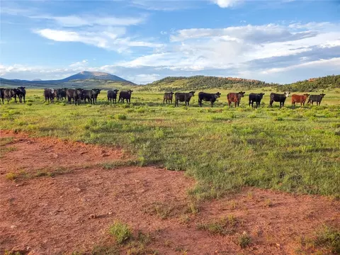 25335 Us Hwy 285, Fairplay, CO 80440 photo 3