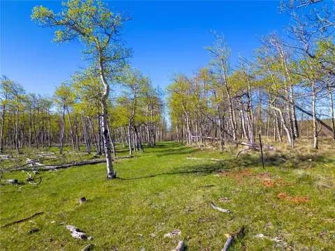 25335 Us Hwy 285, Fairplay, CO 80440 photo 10