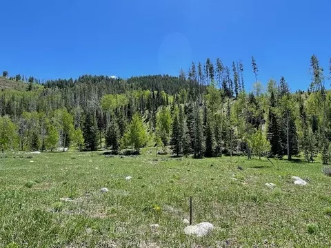 29435 Owl Dr, Clark, CO 80428