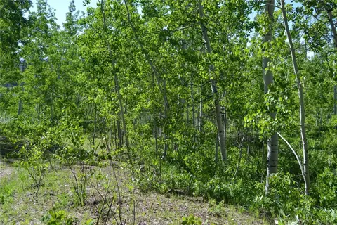 57850 Longfellow Way, Clark, CO 80428 photo 13