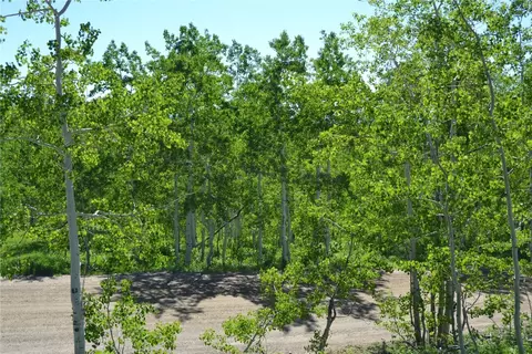 57850 Longfellow Way, Clark, CO 80428 photo 3