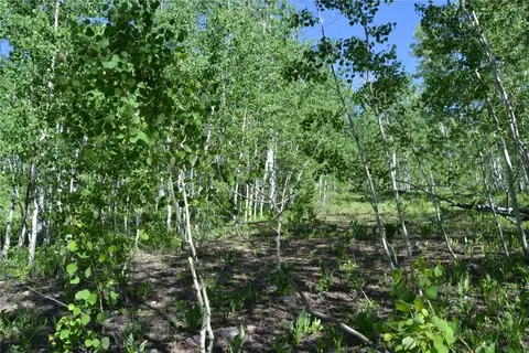 57850 Longfellow Way, Clark, CO 80428 photo 23