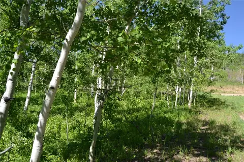 57850 Longfellow Way, Clark, CO 80428 photo 40