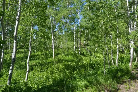 57850 Longfellow Way, Clark, CO 80428 photo 41