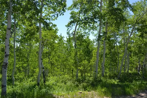 57850 Longfellow Way, Clark, CO 80428 photo 43
