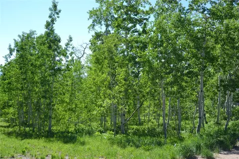 57850 Longfellow Way, Clark, CO 80428