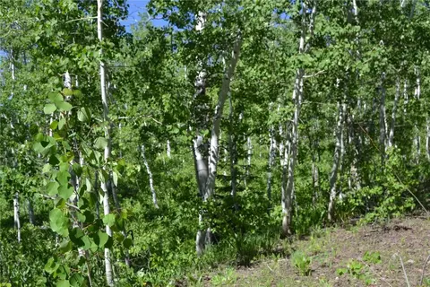 57850 Longfellow Way, Clark, CO 80428 photo 34