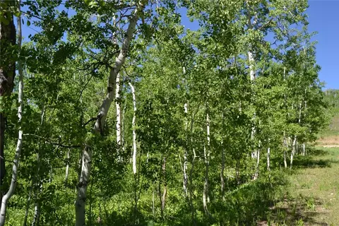 57850 Longfellow Way, Clark, CO 80428 photo 38