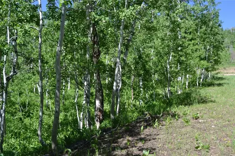 57850 Longfellow Way, Clark, CO 80428 photo 12