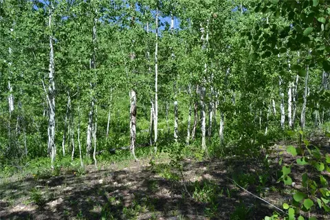 57850 Longfellow Way, Clark, CO 80428 photo 27
