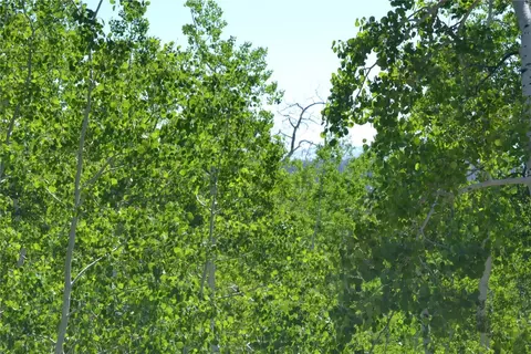 57850 Longfellow Way, Clark, CO 80428 photo 2