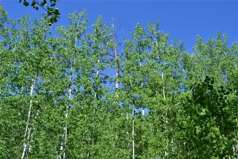 57850 Longfellow Way, Clark, CO 80428 photo 25