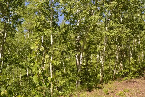 57850 Longfellow Way, Clark, CO 80428 photo 36