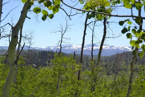 57850 Longfellow Way, Clark, CO 80428 photo 19