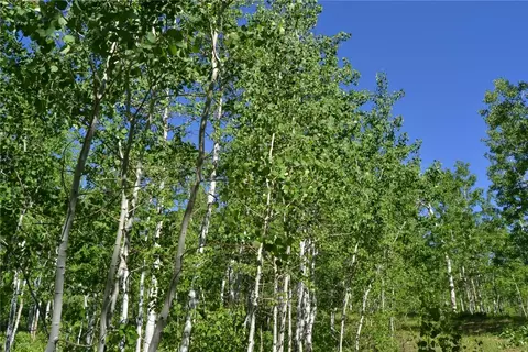 57850 Longfellow Way, Clark, CO 80428 photo 29