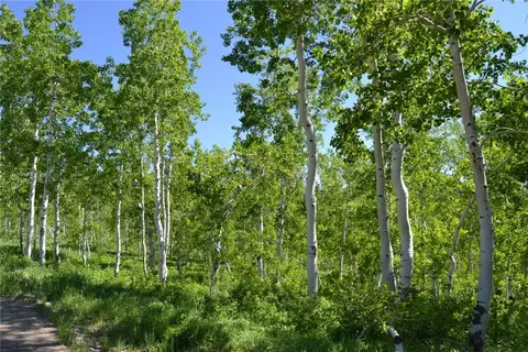 57850 Longfellow Way, Clark, CO 80428 photo 48