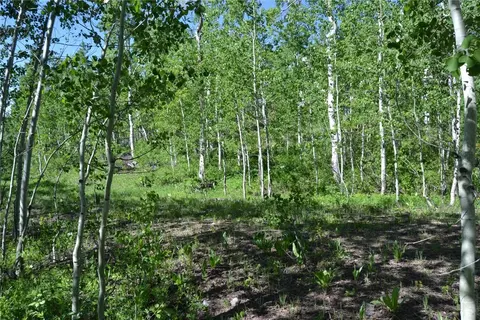 57850 Longfellow Way, Clark, CO 80428 photo 22