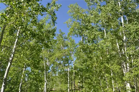 57850 Longfellow Way, Clark, CO 80428 photo 42