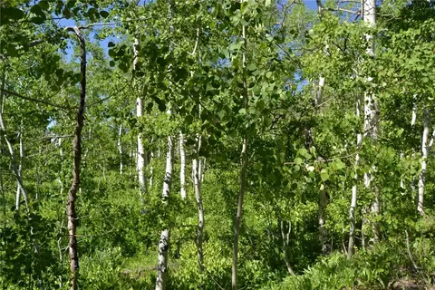 57850 Longfellow Way, Clark, CO 80428 photo 39