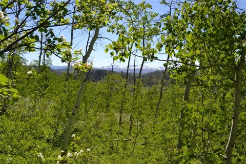 57850 Longfellow Way, Clark, CO 80428 photo 21