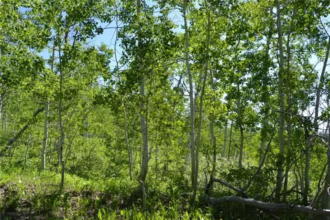 57850 Longfellow Way, Clark, CO 80428 photo 30