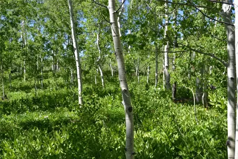 57850 Longfellow Way, Clark, CO 80428 photo 8