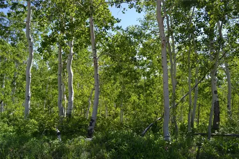 57850 Longfellow Way, Clark, CO 80428 photo 46