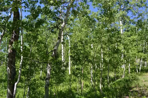 57850 Longfellow Way, Clark, CO 80428 photo 37