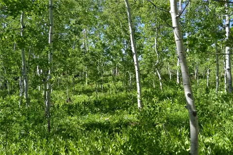 57850 Longfellow Way, Clark, CO 80428 photo 9