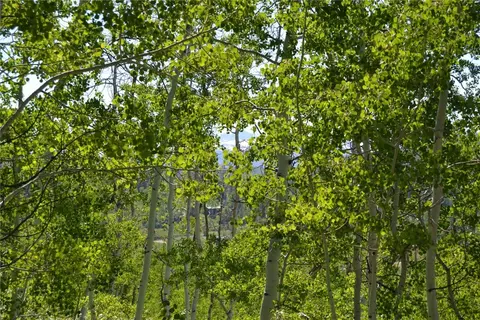 57850 Longfellow Way, Clark, CO 80428 photo 14